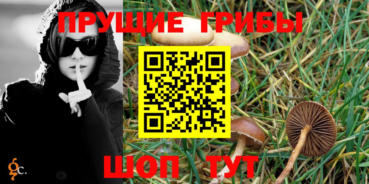 Галлюциногенные грибы Magic Shrooms Казань