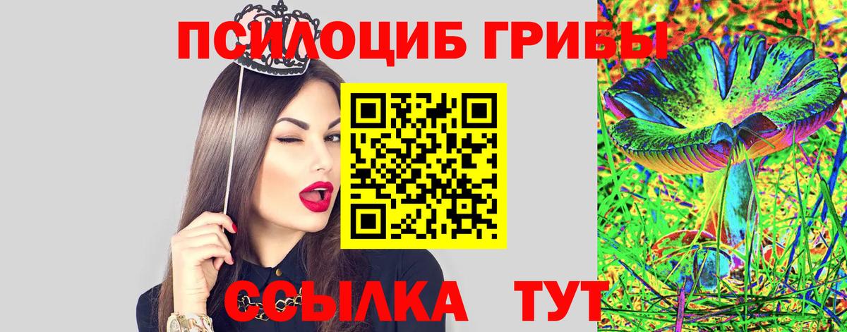 Казань  Псилоцибиновые грибы прущие грибы  купить  цена  Вход с VPN 